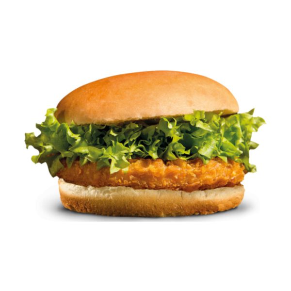 Family Chicken kipburger 24 x 90g