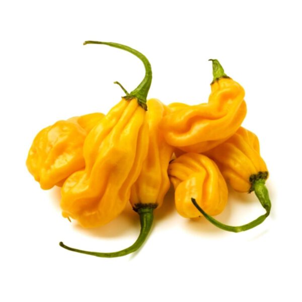 Gele peper 1kg